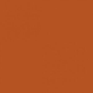 Moletinho PV Antipilling – Ferrugem – ES