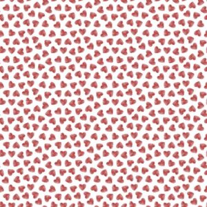 M/M PV Anti Pilling Estampado