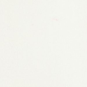 Cotton Light Premium – Chantily – CL