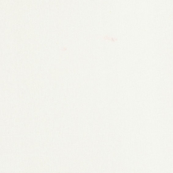 Cotton Light Premium – Chantily – CL