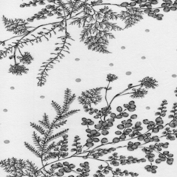 M/M Lençol Estampado 2.60 Mts