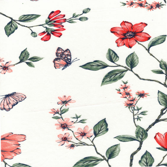 M/M Algodão Superiore 2.40 Mts