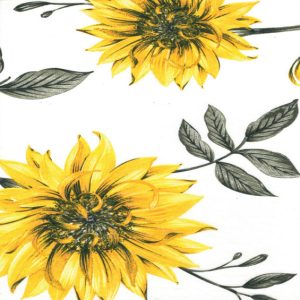 M/M Algodão Superiore 2.40 Mts