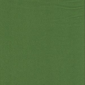 Fitness Pes Bandeira – ES