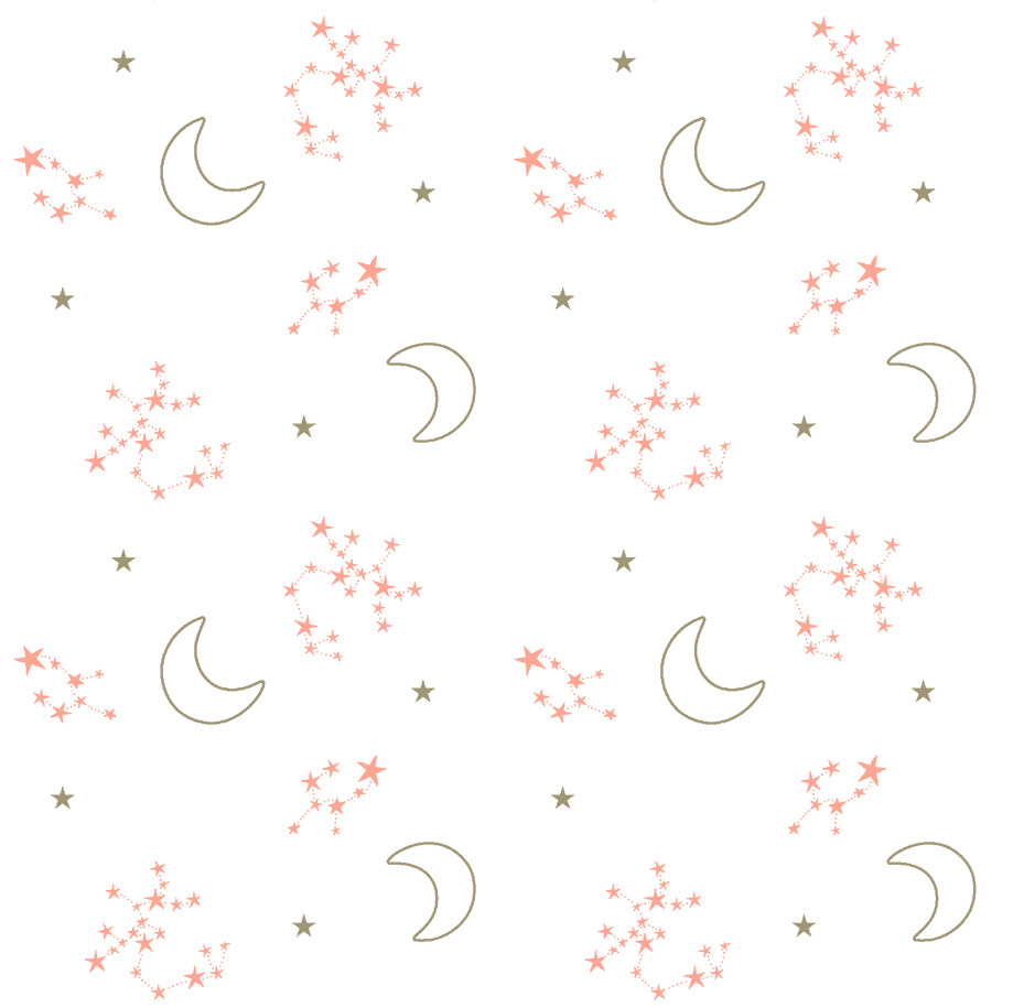 Compose Pluma Estampada